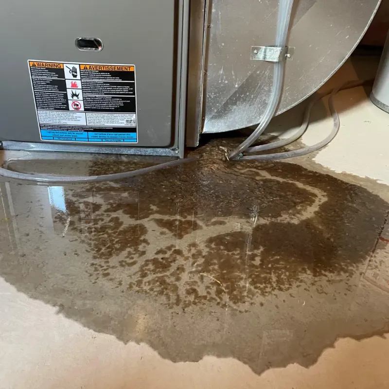 Appliance Leak Cleanup in Ives Estates, FL